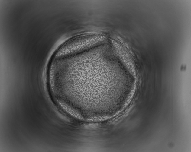 X0000103320102200809261146