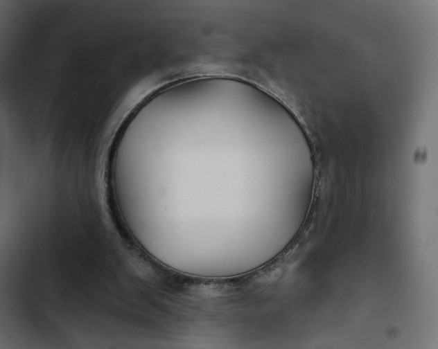 X0000103320103200809261146