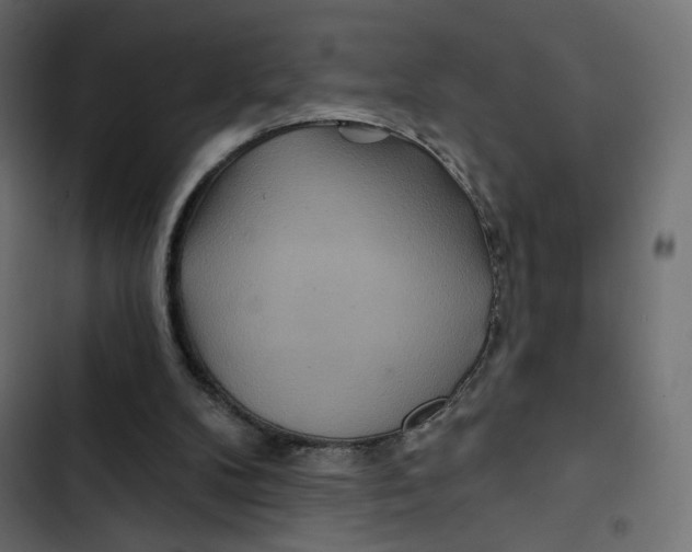 X0000103320104200809261146