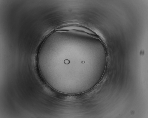 X0000103320105200809261146