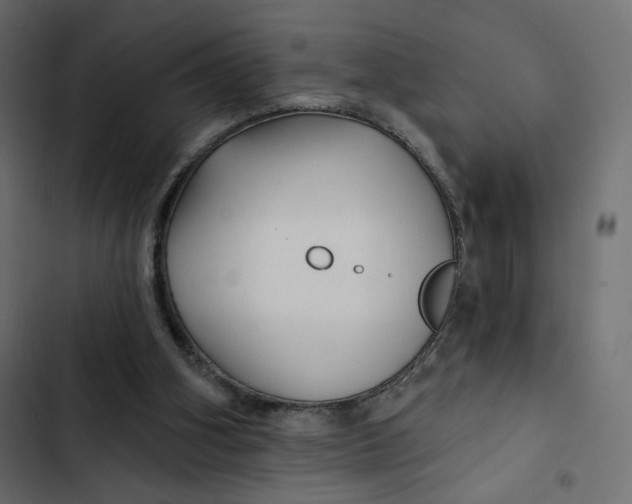 X0000103320106200809261146