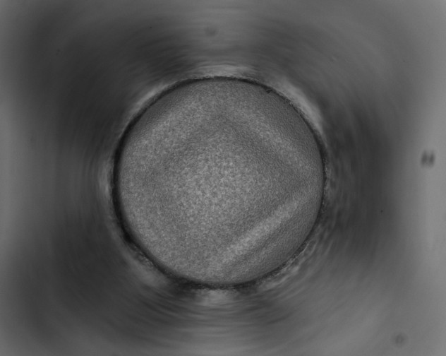 X0000103320107200809261146