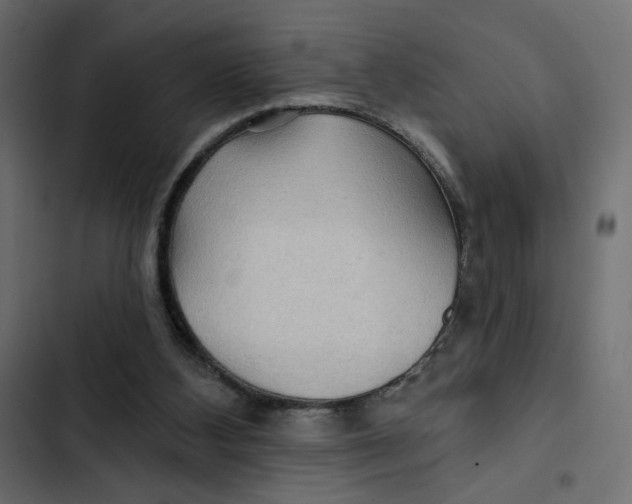 X0000103320108200809261146