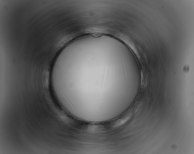 X0000103320109200809261146