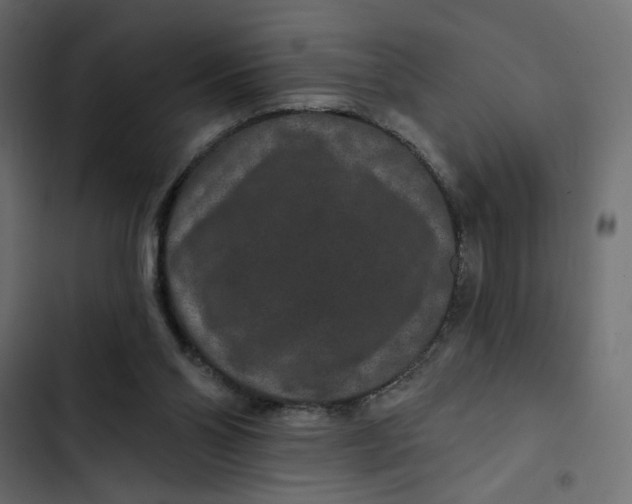 X0000103320110200809261146