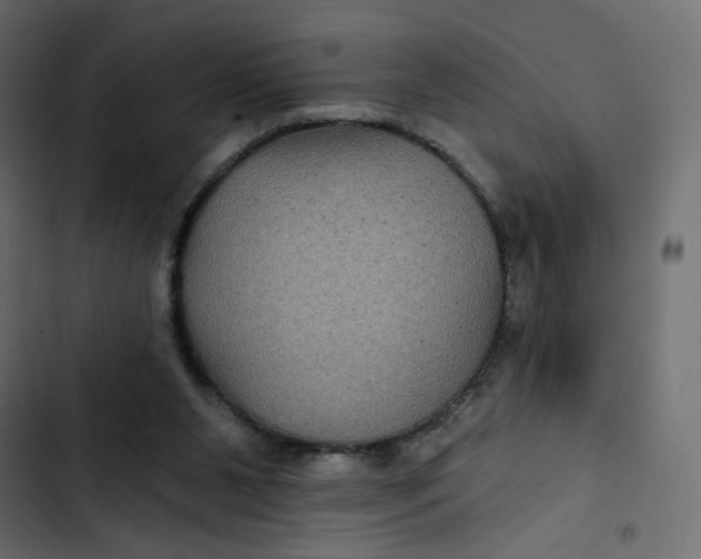 X0000103320111200809261146