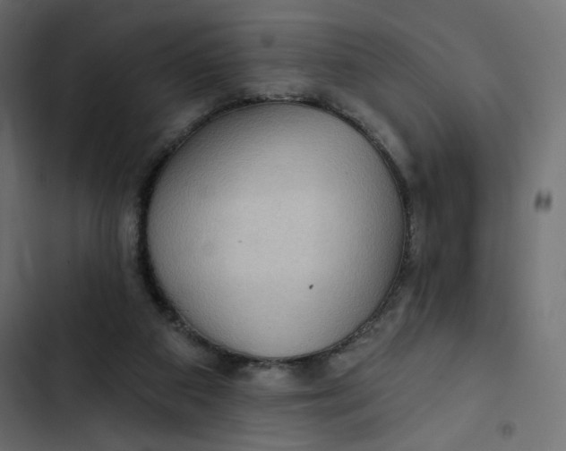 X0000103320113200809261146