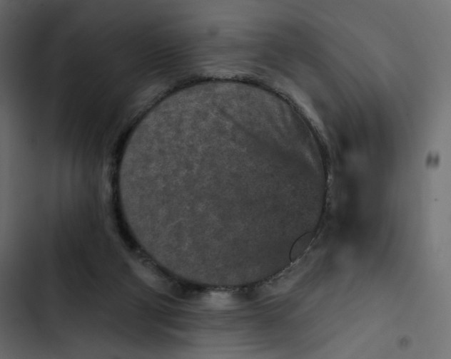 X0000103320114200809261146