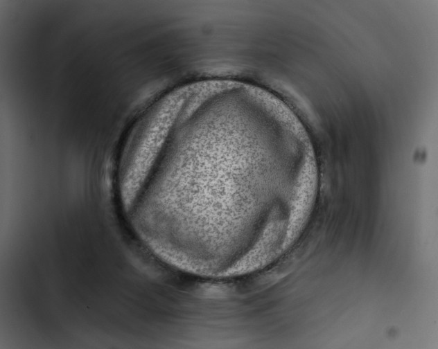 X0000103320115200809261146