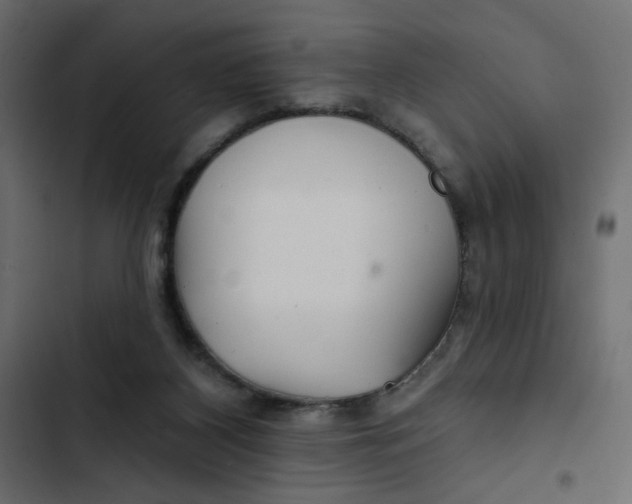 X0000103320116200809261146