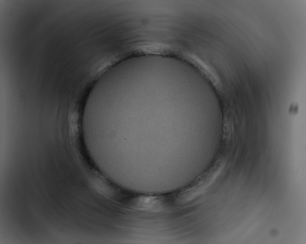 X0000103320117200809261146