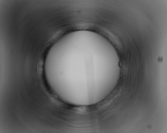 X0000103320118200809261146