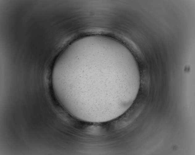 X0000103320119200809261146