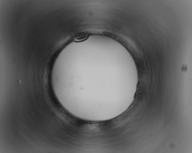 X0000103320120200809261146