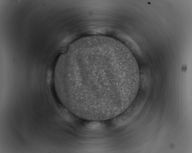 X0000103320123200809261146