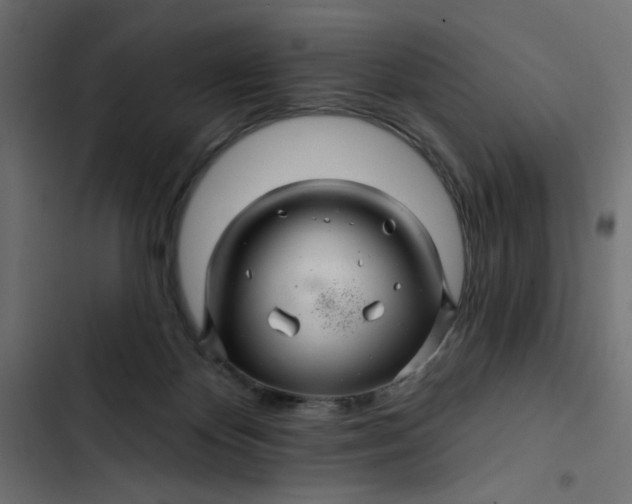 X0000103320124200809261146