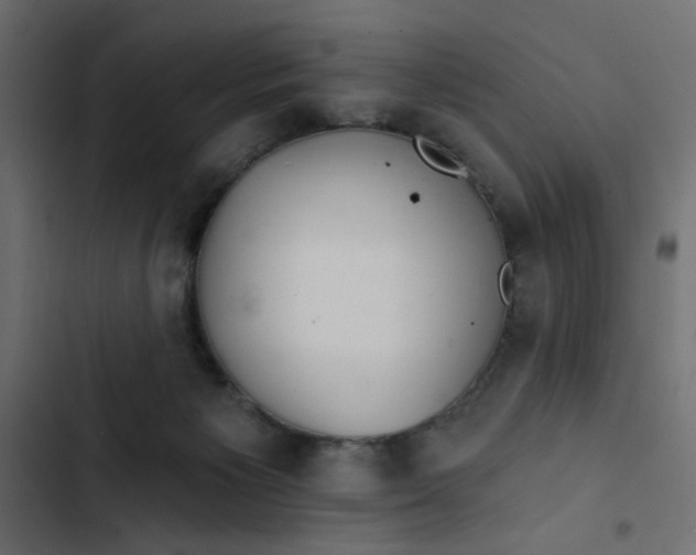 X0000103320125200809261146