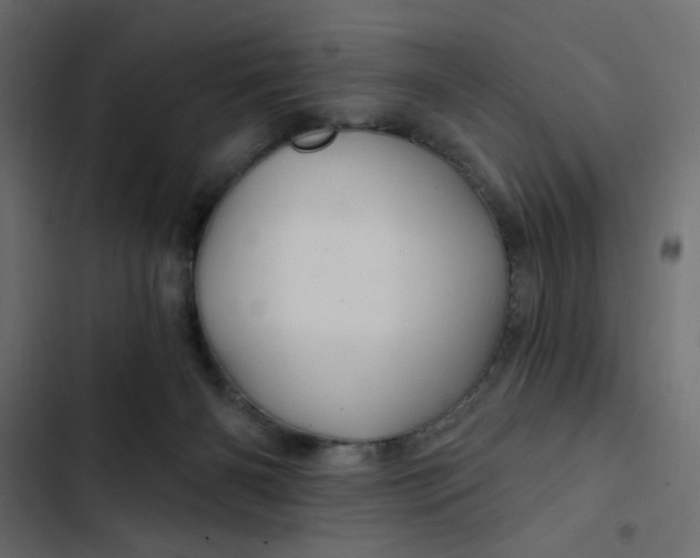 X0000103320126200809261146