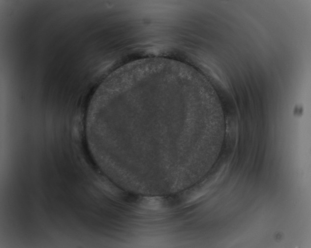 X0000103320127200809261146