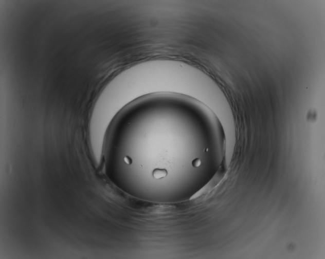 X0000103320128200809261146