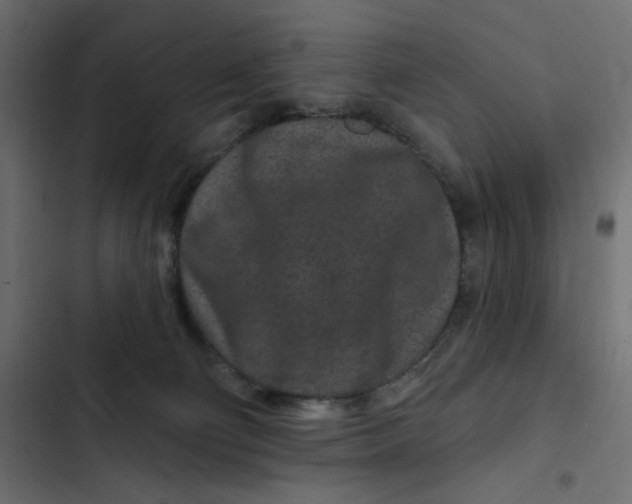 X0000103320130200809261146