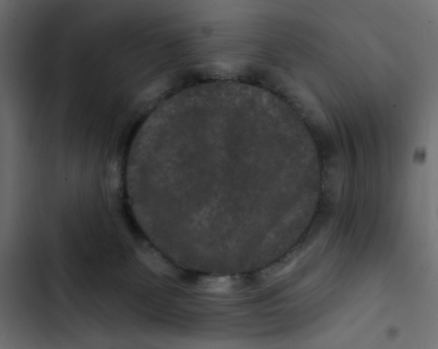 X0000103320131200809261146