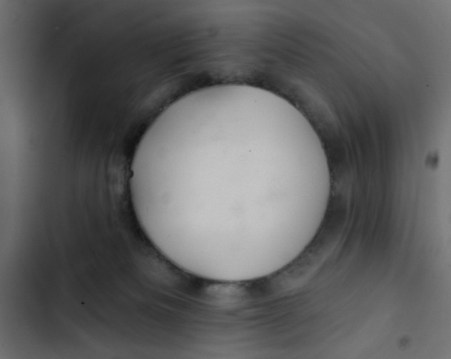 X0000103320133200809261146