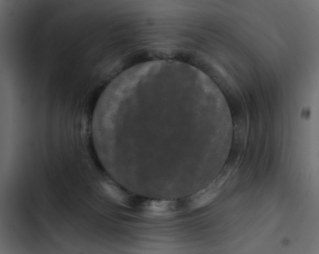 X0000103320134200809261146