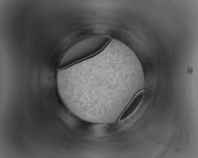 X0000103320136200809261146