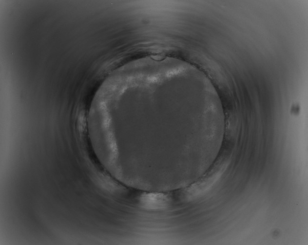 X0000103320137200809261145