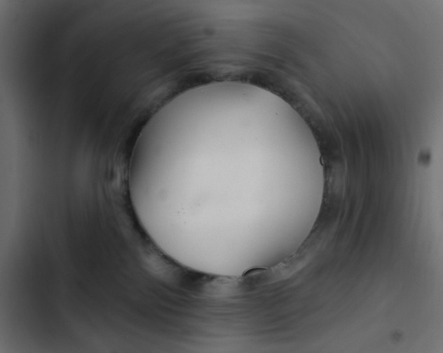 X0000103320138200809261145