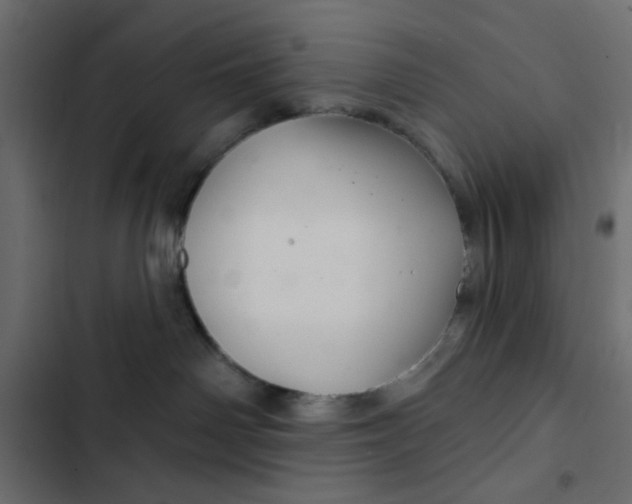 X0000103320142200809261145