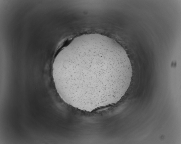 X0000103320144200809261145