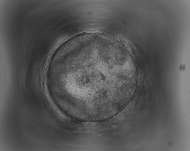 X0000103320145200809261145