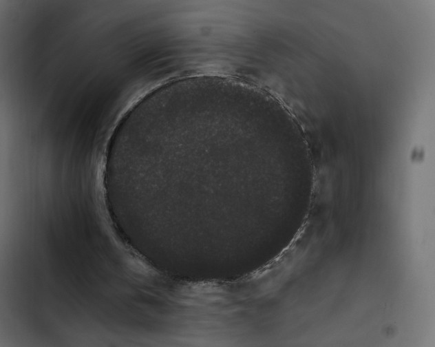 X0000103320146200809261145