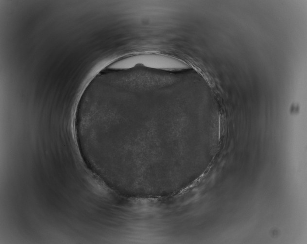 X0000103320147200809261145