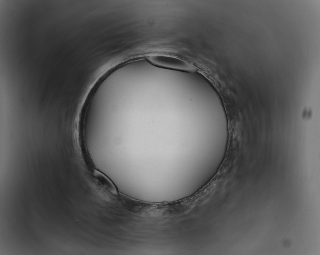 X0000103320148200809261145