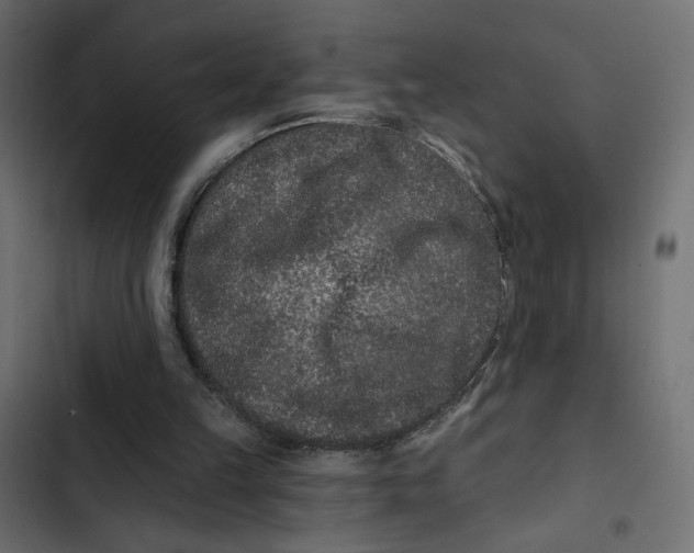 X0000103320149200809261145