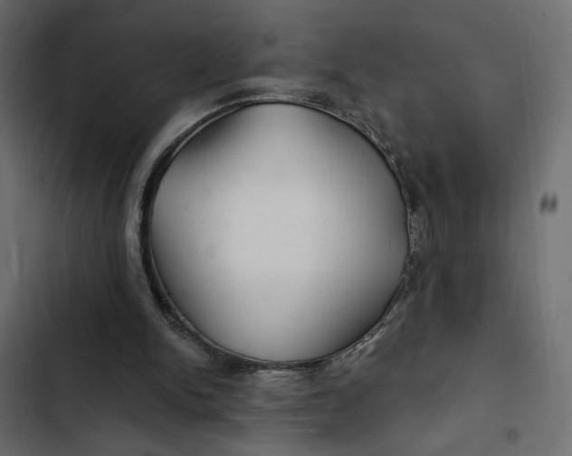 X0000103320150200809261145