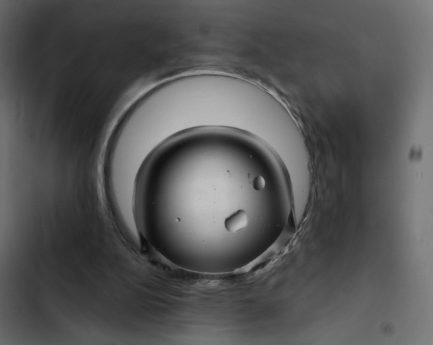 X0000103320152200809261145