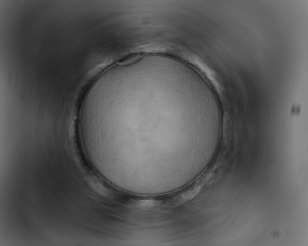 X0000103320153200809261145