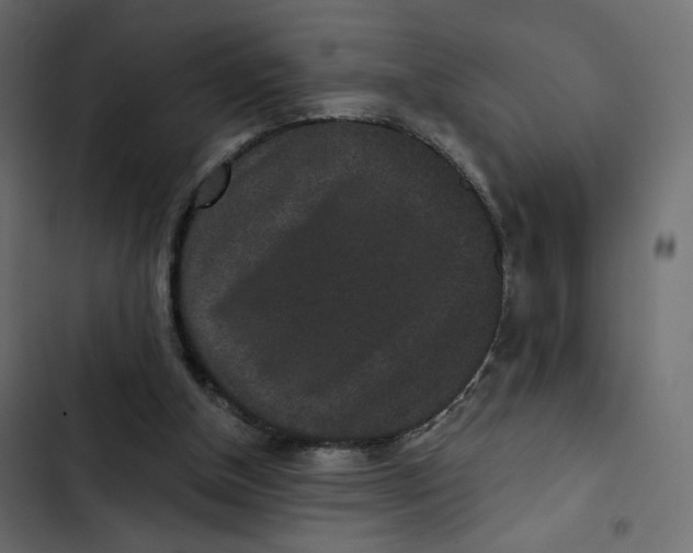 X0000103320154200809261145