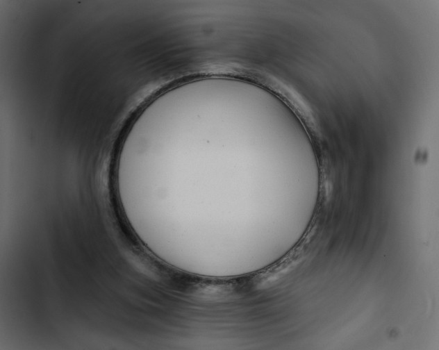 X0000103320155200809261145