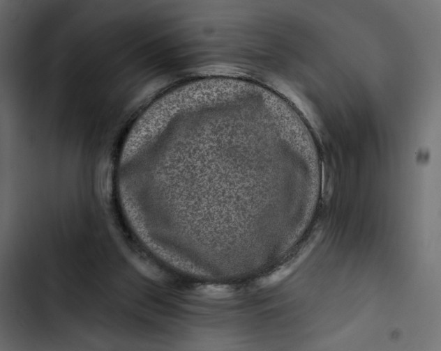 X0000103320157200809261145