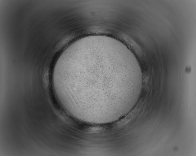 X0000103320158200809261145