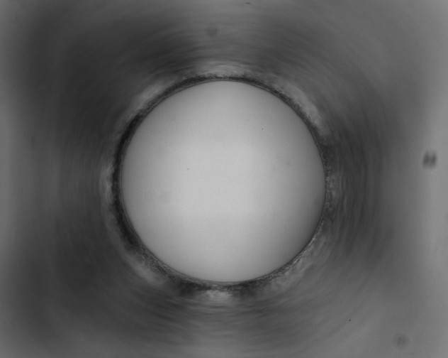 X0000103320159200809261145