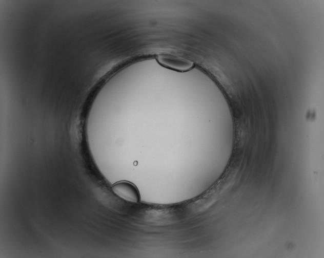 X0000103320160200809261145