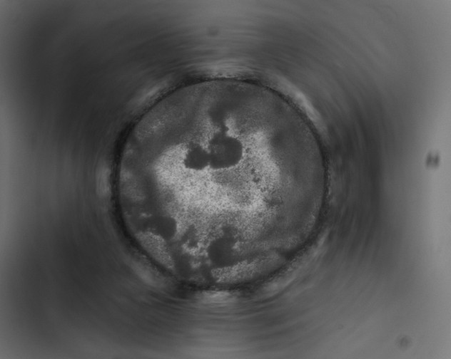 X0000103320161200809261145