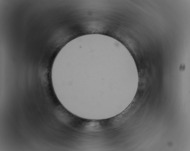 X0000103320162200809261145