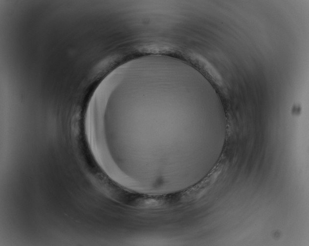 X0000103320163200809261145